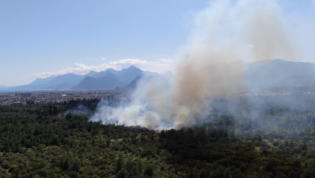 Antalya Zeytinpark’ta korkutan yangın! Olayla ilgili inceleme başlatıldı