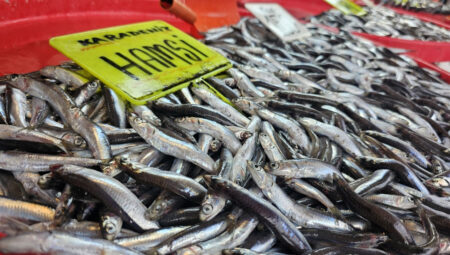 Av yasağı başlıyor! Gırgır tekneleri paydos, küçük balıkçılar devam edecek