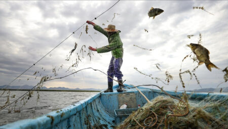 Balıkçılıkta yeni dönem! Sezon tarihleri ve yasaklar güncellendi