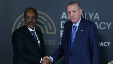 Cumhurbaşkanı Erdoğan, Somali Cumhurbaşkanı Mahmud ile görüştü