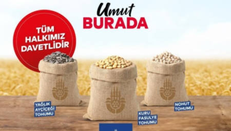 İBB tarım üreticilerine tohum dağıttı