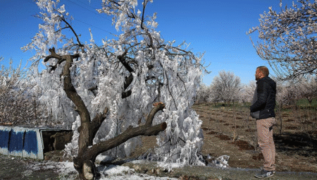 Meteoroloji’den zirai don uyarısı! Havalar ısınıyor fakat… (16 Nisan hava durumu)