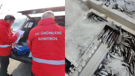 Trabzon’da balıkçılara 2 milyon 390 bin TL’lik av cezası