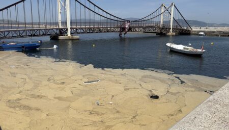 Marmara’da müsilaj geri döndü: Erdek kıyıları etkilendi