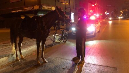 Mersin’de farklı olay: Atıyla markete giden gence alkollü araç kullanmaktan ceza