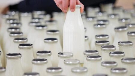 Rekabet Kurulu’ndan süt bölümüne soruşturma! 41 firma mercek altında