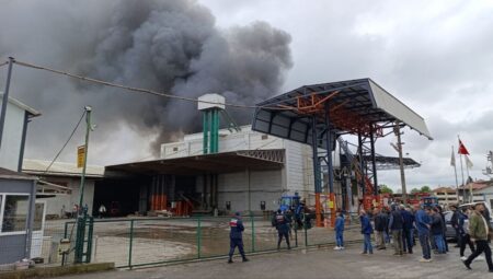 Sakarya Karasu’da fındık kırım fabrikasında yangın
