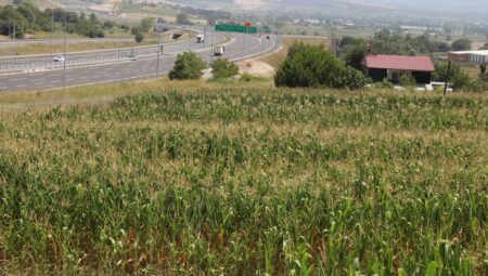 Silivri ve etrafında arsa fiyatları uçtu! Arsa hayalinin kâbusa dönmemesi için uzmanlardan 9 kritik uyarı!