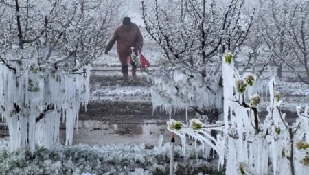 Zirai Don Araştırma Komitesi birinci toplantısını yapacak