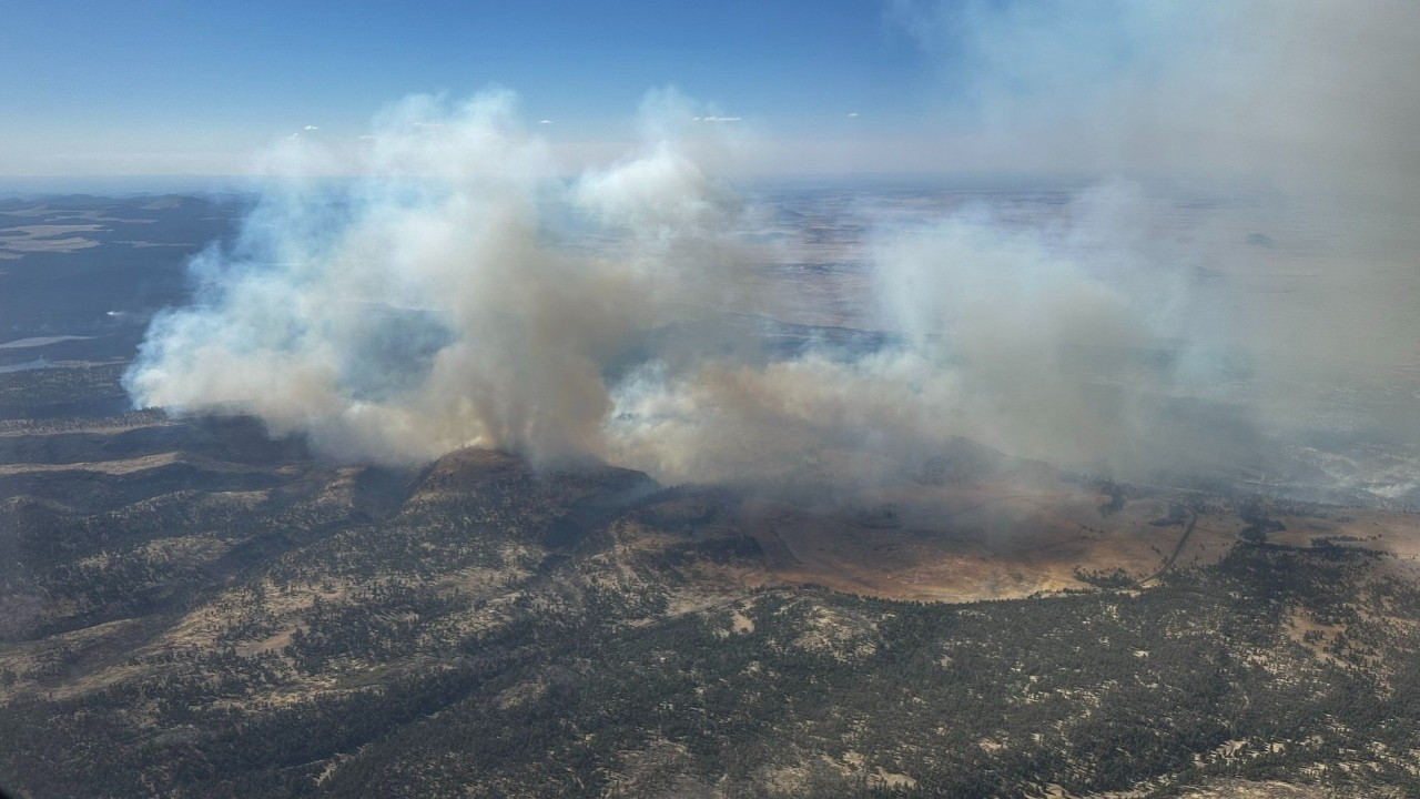 Arizona’da Greer Yangını büyüyor! 20 bin dönüm küle döndü