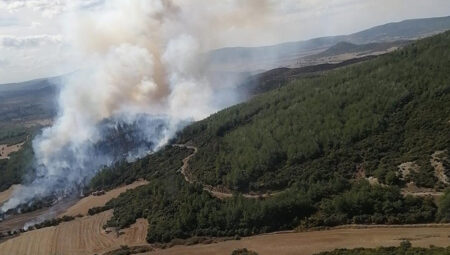 Çanakkale’de çıkan orman yangını söndürüldü