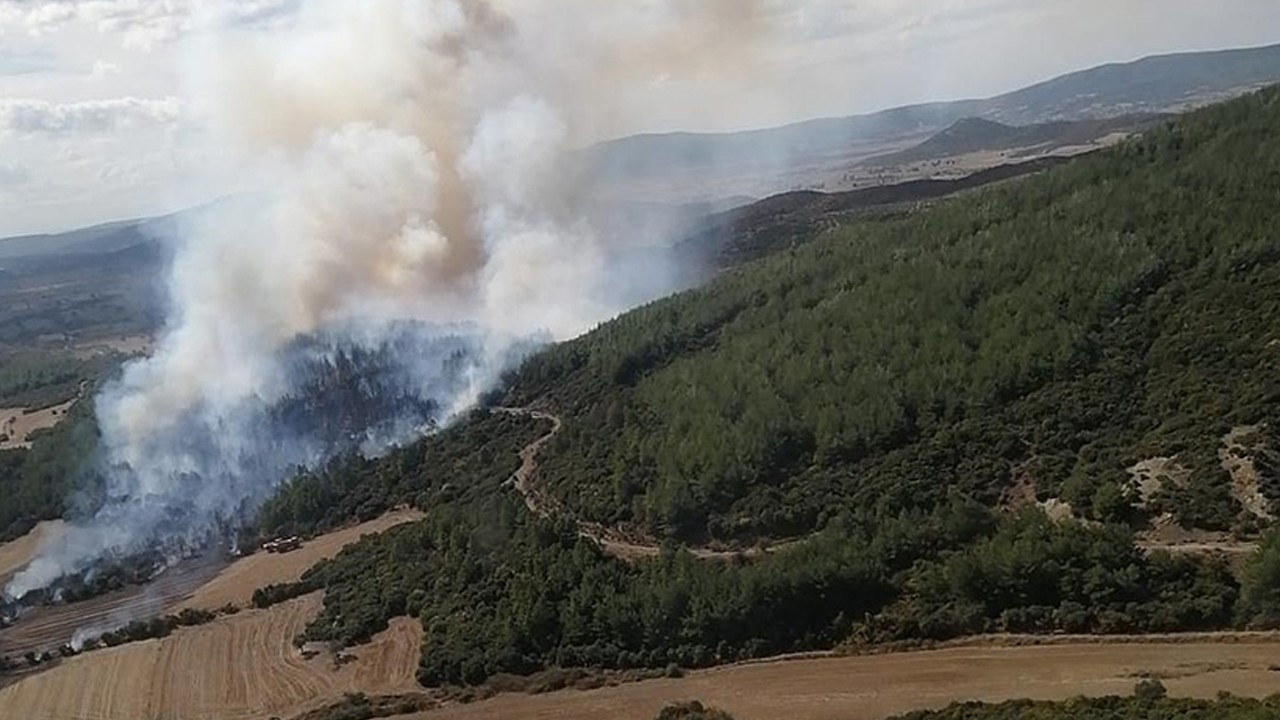Çanakkale’de çıkan orman yangını söndürüldü