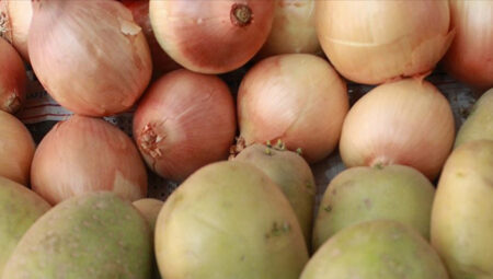 Filizlenen patates, soğan ya da sarımsak yenir mi? Sıhhat açısından riskli mi? Yediğimizde hasta olur muyuz?