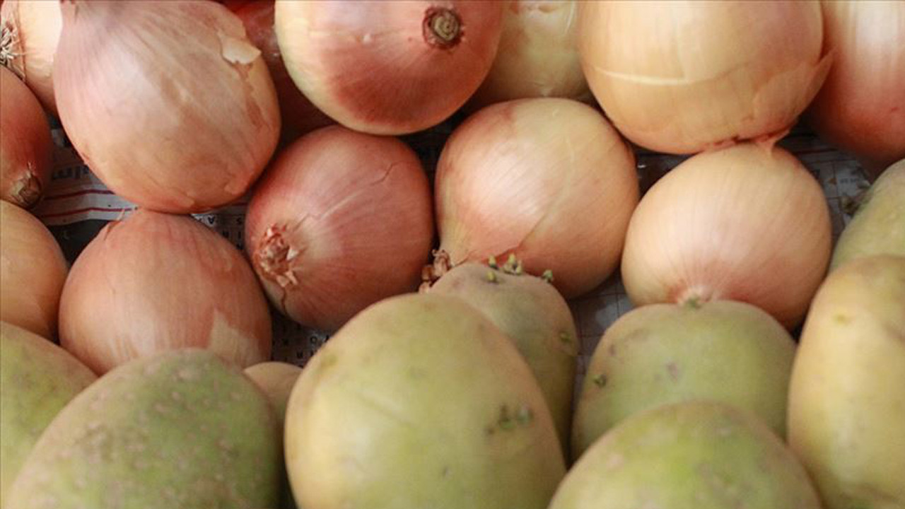 Filizlenen patates, soğan ya da sarımsak yenir mi? Sıhhat açısından riskli mi? Yediğimizde hasta olur muyuz?
