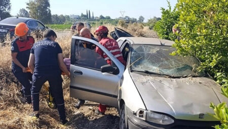Hatay’da araba narenciye bahçesine düştü