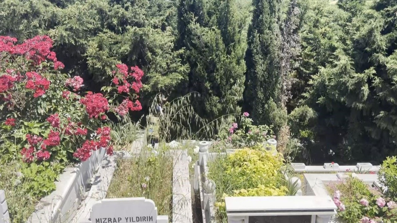 İstanbul’da dehşet! Arnavutköy’de mezarlıkta bebek cesedi bulundu