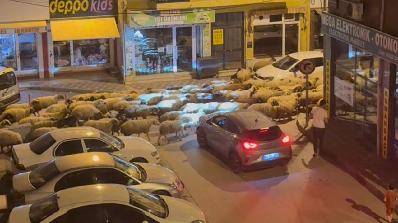 Tokat’ta gece başlayan yayla göçü dronla görüntülendi