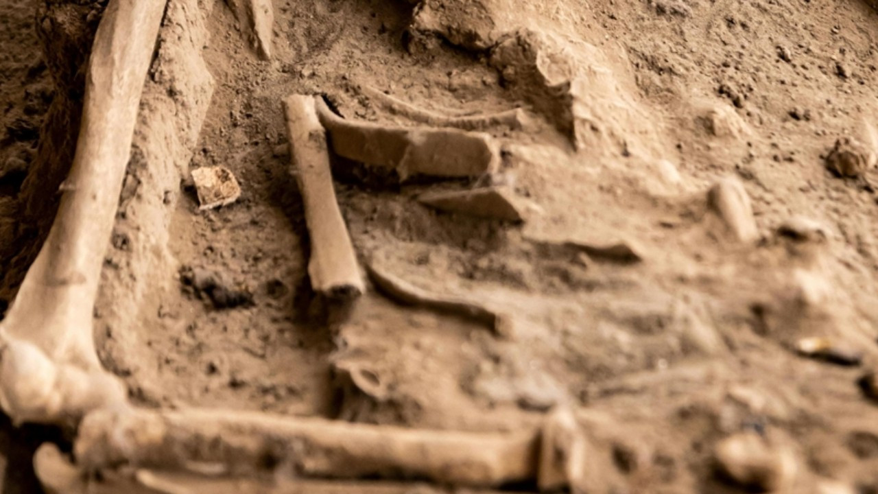Bilim insanları 200 milyon yıllık yeni bir pterozor çeşidi keşfetti