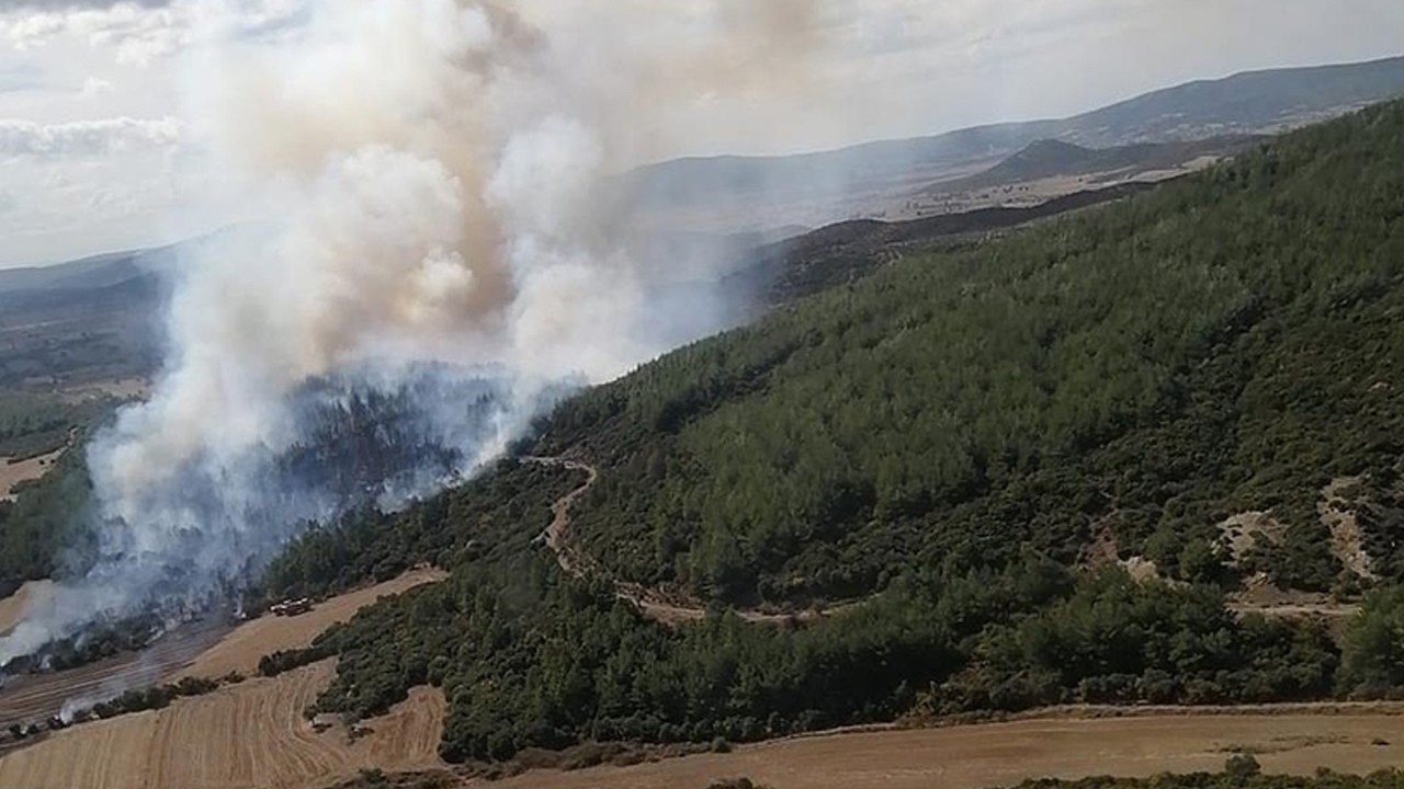 Çanakkale’de çıkan orman yangını denetim altına alındı