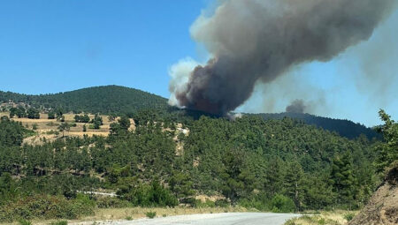 Çanakkale’de çıkan orman yangını denetim altına alındı