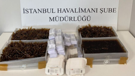 İstanbul Havalimanı’nda 12 milyon TL’lik kaçak ilaç operasyonu