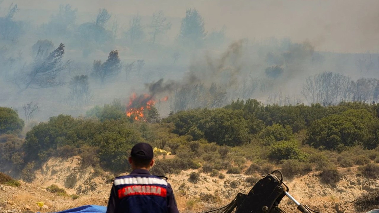 İzmir’in Foça ilçesinde çıkan orman yangını denetim altına alındı