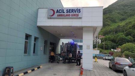 Kastamonu’da akrebin soktuğu bayan hastanelik oldu