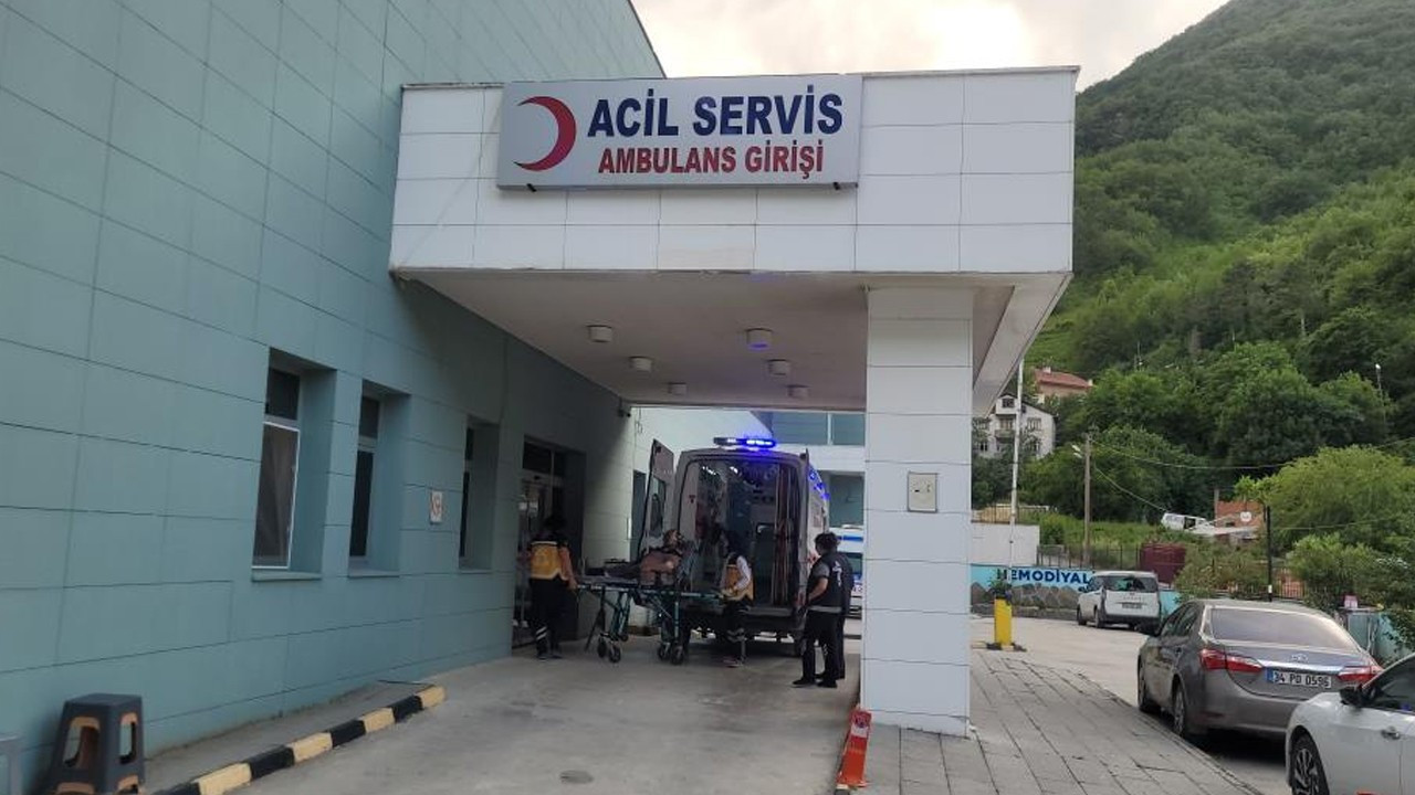 Kastamonu’da akrebin soktuğu bayan hastanelik oldu