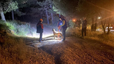 Pendik’te ormana giren şahıs için arama başlatıldı