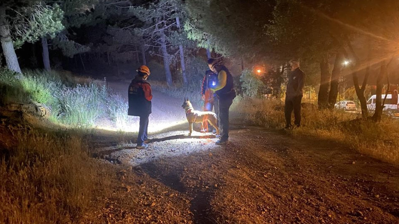 Pendik’te ormana giren şahıs için arama başlatıldı
