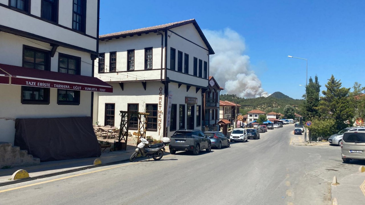 Sakarya Taraklı’da orman yangını! Müdahale sürüyor