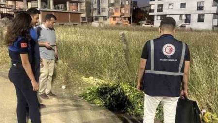 Ticaret Bakanlığı açıkladı: Meyve ve sebzelerin metoduna uygun olmayan imhasına ceza geliyor